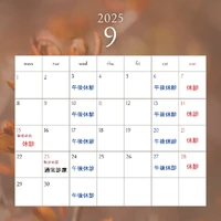 画像282