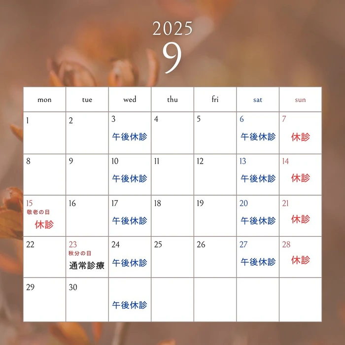 画像282