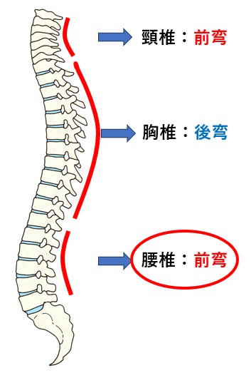体育座り