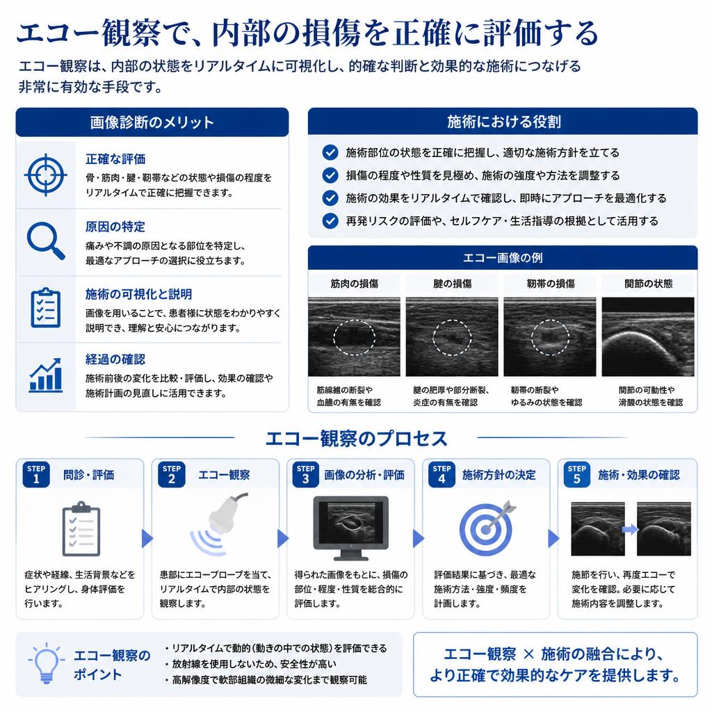 エコー観察の重要性