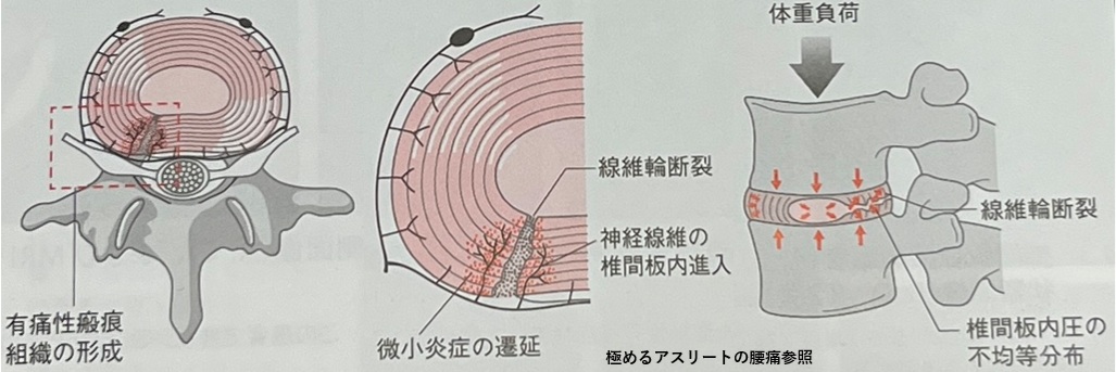 日常生活の改善ポイント