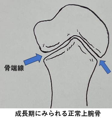 タイトルタイトルタイトル